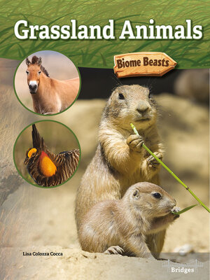 Grassland Animals - ebook